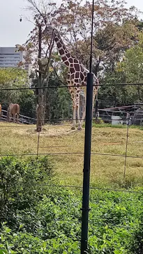 天王寺動物園に投稿された画像（2021/11/6）
