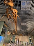 国立科学博物館に投稿された画像（2021/11/7）