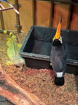 Moff animal world MARK IS みなとみらい店に投稿された画像（2021/11/7）