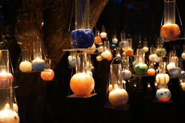 江の島シーキャンドルに投稿された画像（2021/11/7）