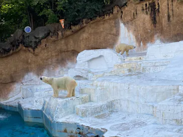 天王寺動物園に投稿された画像（2021/11/7）