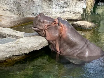 天王寺動物園に投稿された画像（2021/11/7）