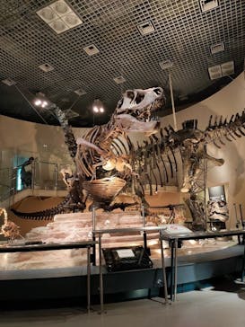 国立科学博物館に投稿された画像（2021/11/7）