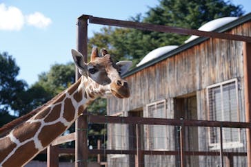 東武動物公園に投稿された画像（2021/11/7）