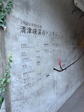 清津峡渓谷トンネルに投稿された画像（2021/11/7）