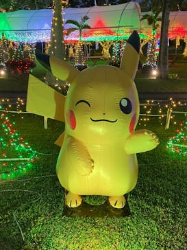 美らヤシパークオキナワ・東南植物楽園に投稿された画像（2021/11/7）