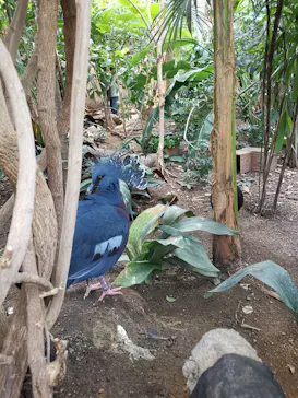 神戸どうぶつ王国に投稿された画像（2021/11/7）