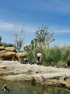 神戸どうぶつ王国に投稿された画像（2021/11/7）