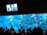 大分マリーンパレス水族館 「うみたまご」に投稿された画像（2021/11/7）