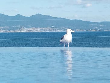 大分マリーンパレス水族館 「うみたまご」に投稿された画像（2021/11/7）