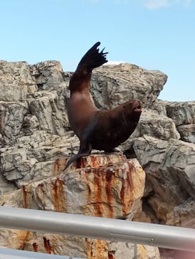 大分マリーンパレス水族館 「うみたまご」に投稿された画像（2021/11/7）