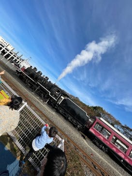 京都鉄道博物館×京都水族館に投稿された画像（2021/11/7）