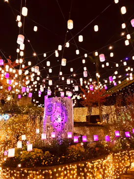 ひらかたパークに投稿された画像（2021/11/7）