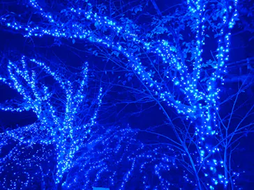 ひらかたパークに投稿された画像（2021/11/7）