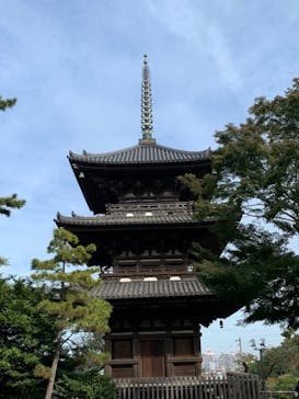 三溪園に投稿された画像（2021/11/7）