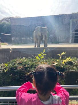 東武動物公園に投稿された画像（2021/11/7）