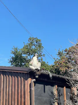 神戸どうぶつ王国に投稿された画像（2021/11/7）