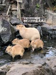伊豆シャボテン動物公園に投稿された画像（2021/11/7）