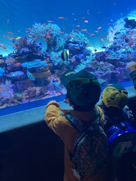 サンシャイン水族館に投稿された画像（2021/11/7）