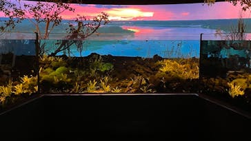 カワスイ 川崎⽔族館に投稿された画像（2021/11/7）