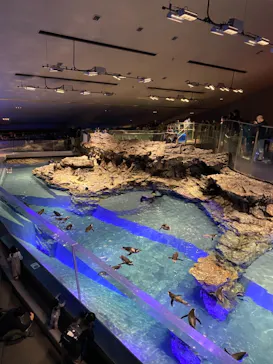 すみだ水族館に投稿された画像（2021/11/7）