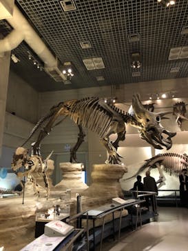 国立科学博物館に投稿された画像（2021/11/7）