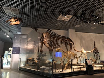 国立科学博物館に投稿された画像（2021/11/7）
