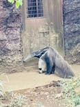 よこはま動物園ズーラシアに投稿された画像（2021/11/7）