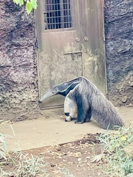 よこはま動物園ズーラシアに投稿された画像（2021/11/7）