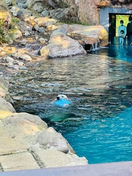 よこはま動物園ズーラシアに投稿された画像（2021/11/7）