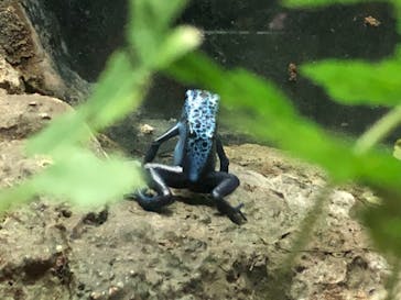 サンシャイン水族館に投稿された画像（2021/11/7）