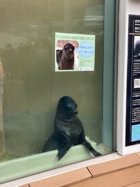 サンシャイン水族館に投稿された画像（2021/11/7）