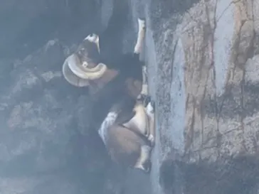 天王寺動物園に投稿された画像（2021/11/7）