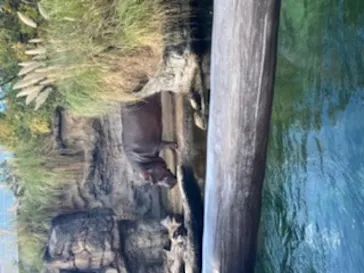 天王寺動物園に投稿された画像（2021/11/7）