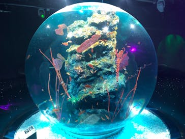 神戸みなと温泉 蓮に投稿された画像（2021/11/7）