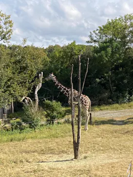 天王寺動物園に投稿された画像（2021/11/7）