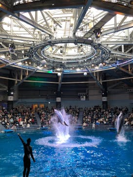 マクセル アクアパーク品川に投稿された画像（2021/11/7）