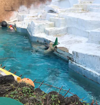 天王寺動物園に投稿された画像（2021/11/7）