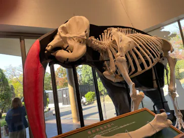 天王寺動物園に投稿された画像（2021/11/7）