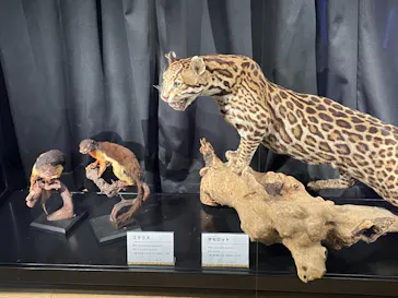 天王寺動物園に投稿された画像（2021/11/7）