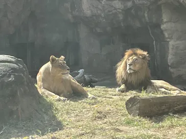 天王寺動物園に投稿された画像（2021/11/7）
