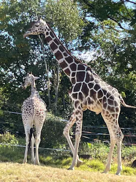 天王寺動物園に投稿された画像（2021/11/7）