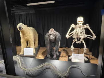 天王寺動物園に投稿された画像（2021/11/7）