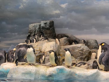 名古屋港水族館に投稿された画像（2021/11/7）