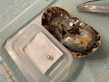 しながわ水族館に投稿された画像（2021/11/7）