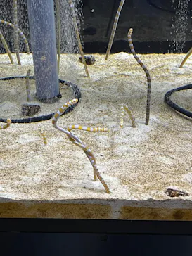 すみだ水族館に投稿された画像（2021/11/7）