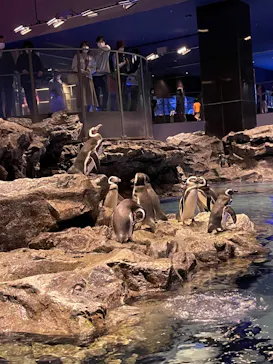 すみだ水族館に投稿された画像（2021/11/7）