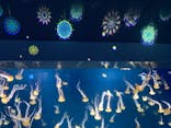 新江ノ島水族館に投稿された画像（2021/11/7）