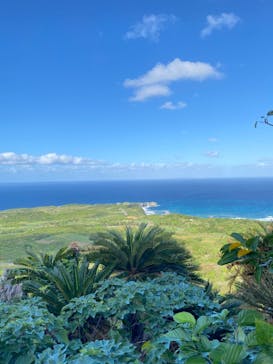 アスムイハイクスに投稿された画像（2021/11/7）