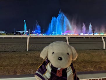 東京メガイルミに投稿された画像（2021/11/7）